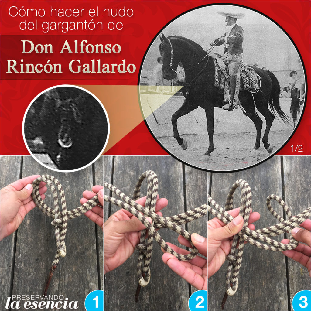 Nudo de gargantón