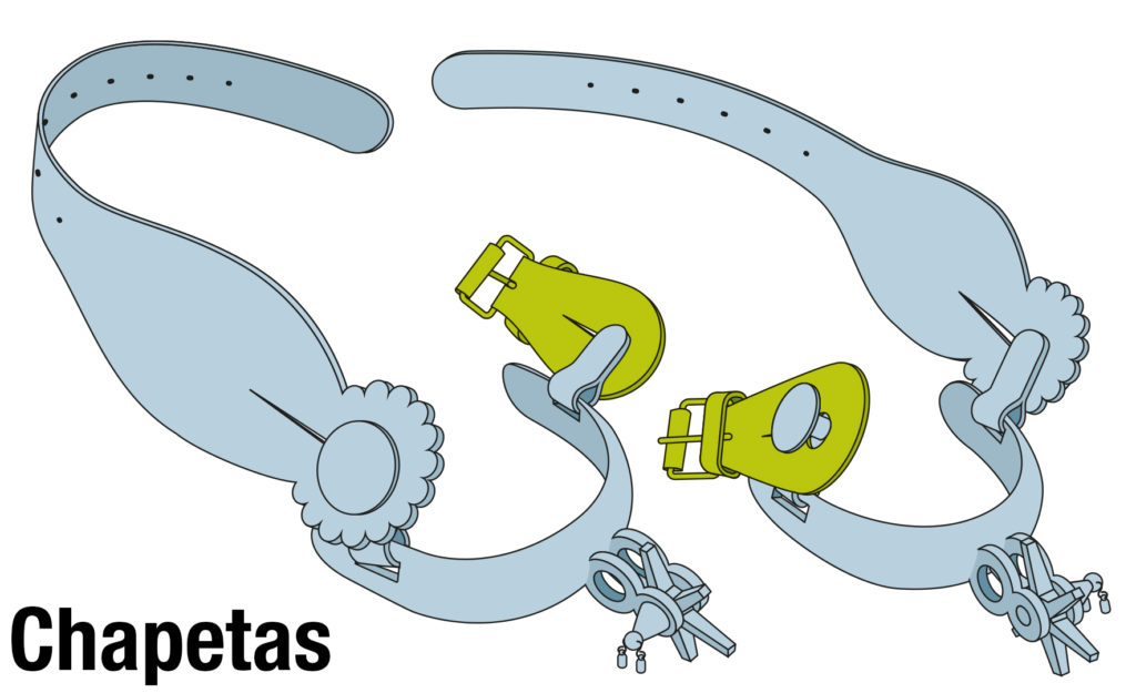Partes de la espuela