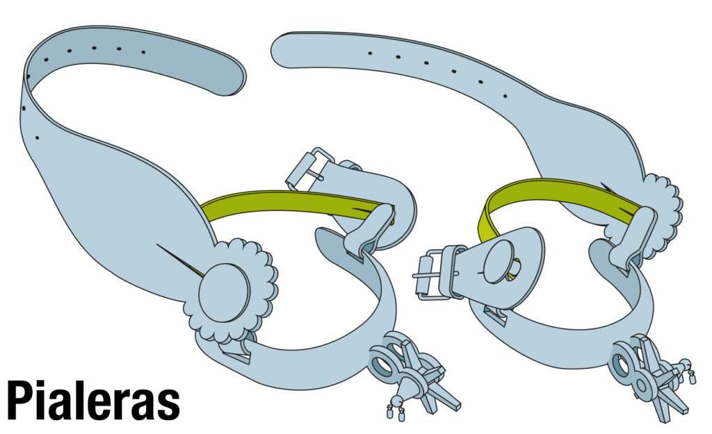 Partes de la espuela