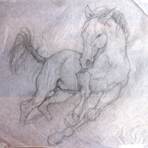 Esquisses cheval Esquisses cheval