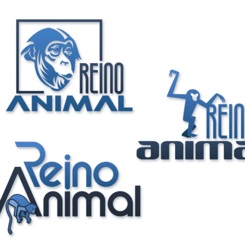 Reino Animal Reino Animal