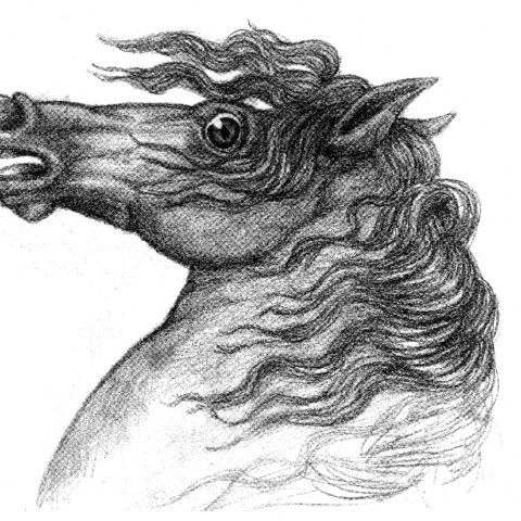 Cheval Napoleon Cheval Napoleon