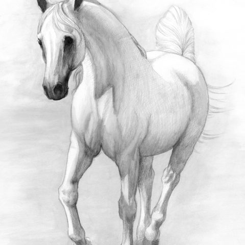 Cheval Blanc Cheval Blanc