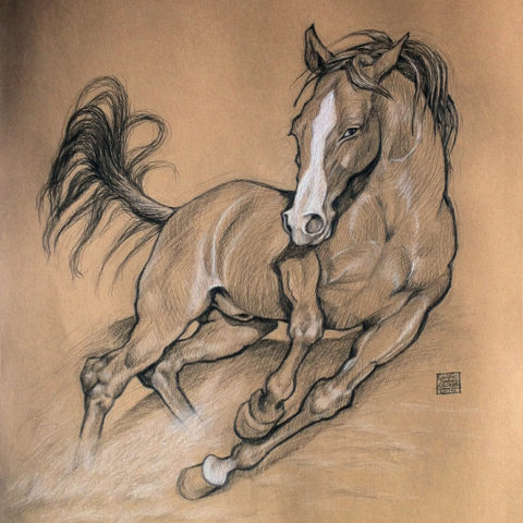 Cheval Cheval
