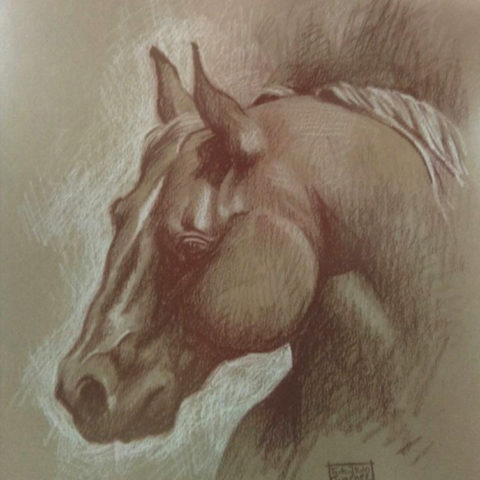 Quarter Horse Quarter Horse