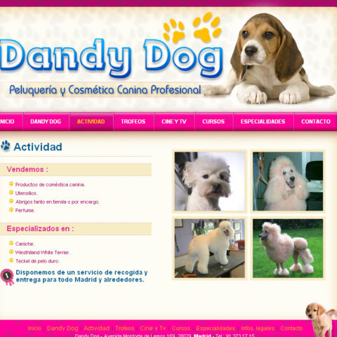 Dandy Dog Dandy Dog