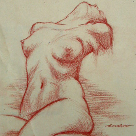 Femme sanguine Femme sanguine