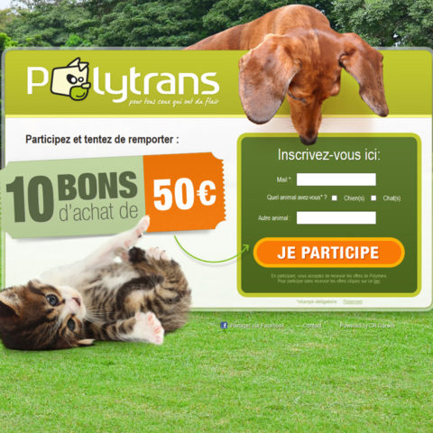 Polytrans Polytrans
