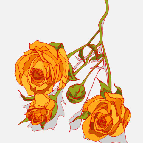 Fleurs Fleurs