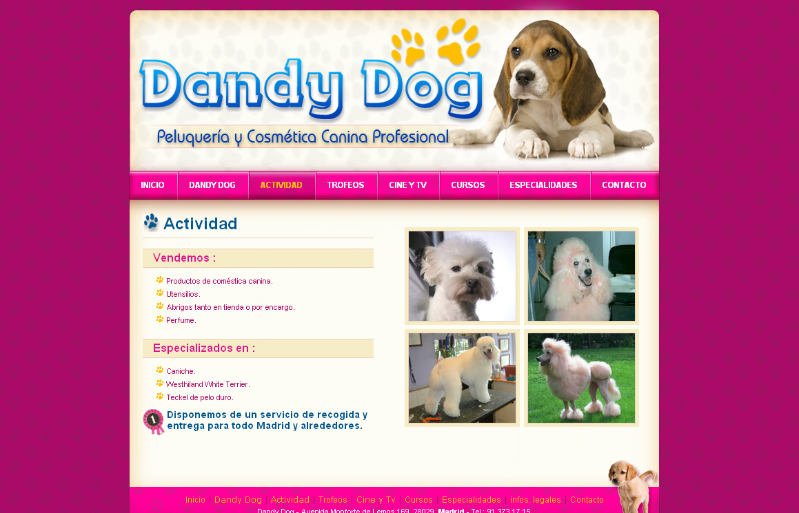 Dandy Dog