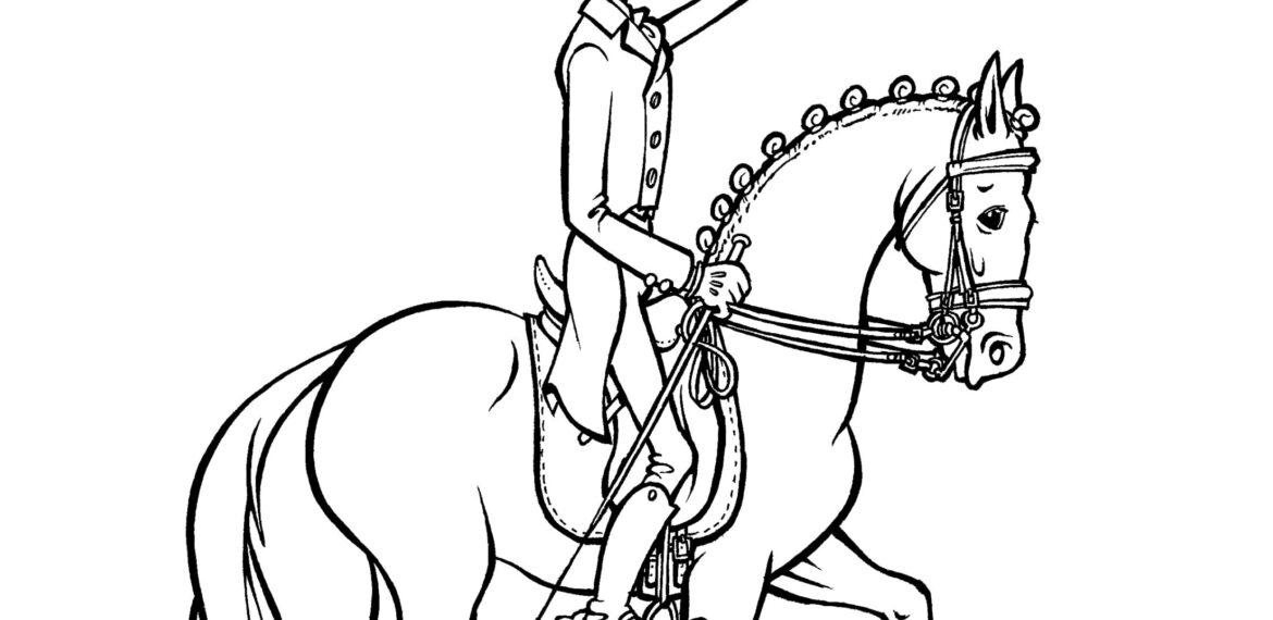 Doma clásica / Dressage