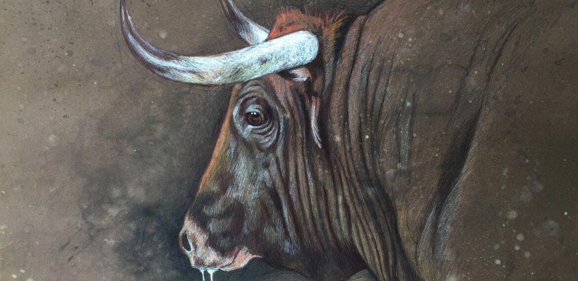 Capuchino sobre café