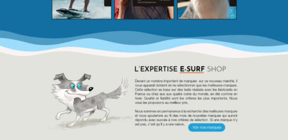 E-Surfshop